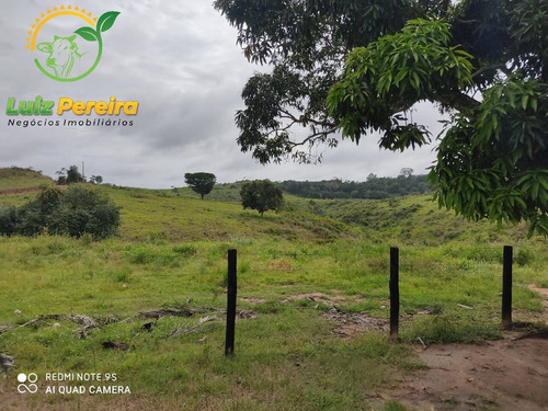 Imagem 3 de 15 de Fazenda À Venda Em Jacunda - Pa - 1.258,4 Hectares (dupla Aptidão) - 2032