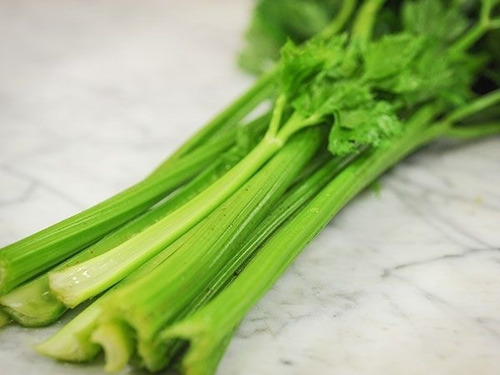 Baker Creek Heirloom Seeds Celery / Apio Utah 200 Semillas