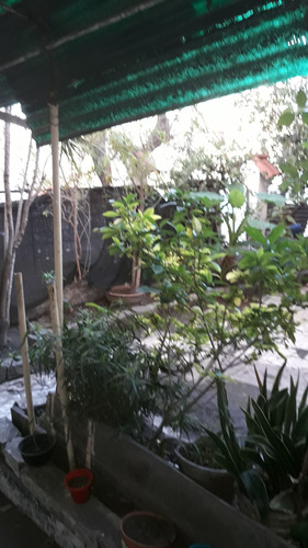 Imagen 11 de 13 de Dock Sud, Amplia Casa 4 Ambientes, Con Cochera Y Jardin