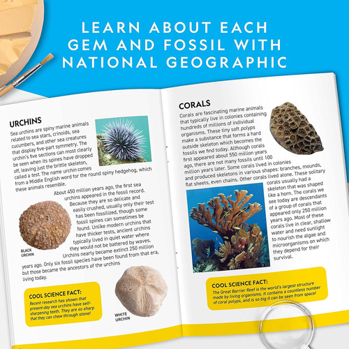 National Geographic - Kit De Excavación De Mega Fósiles Y Pi