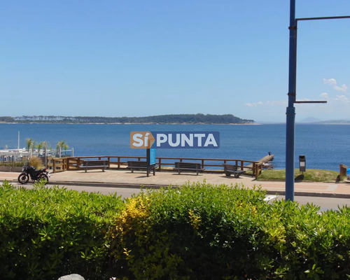 Punta Del Este Peninsula 3 Suites Apto Con Jardin 500 Metros!!! 