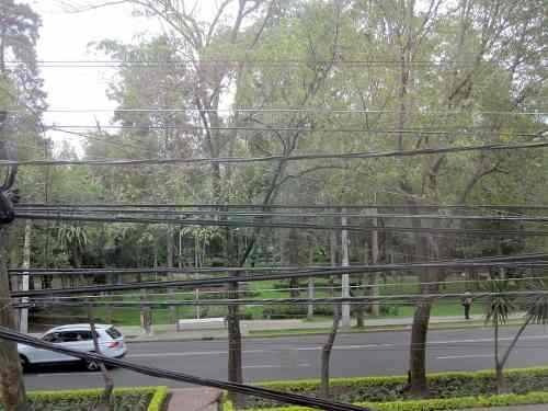 Imagen 14 de 14 de Chimalistac.- Rento Oficinas Enfrente Al Parque