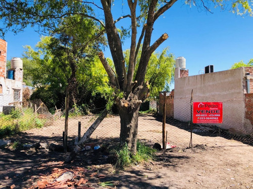 Imagen 2 de 7 de Lote De 300m2 En Barrio Los Tilos