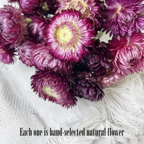 Flores De Margaritas 100 % Naturales, Ramos De Flores Secas,