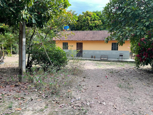 Imagem 3 de 20 de Chácara À Venda! Em Goianésia - Go, 13 Alqueres A 14.5 Km De Goianésia, Com 2 Nascente De Água Dentro.
