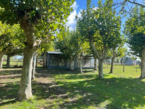 Excelente Campo En Venta A 5 Km Del Casco Urbano De Marcos Paz