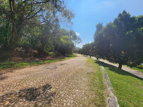 Venta De Lote Glorieta Ii Muy Cerca De Acceso Y De Las Amenidades Del Fraccionamiento Sobre Boulevard San Diego Con Proyecto Incluído En Fracc Rancho San Diego Ixtapan De La Sal Edomex