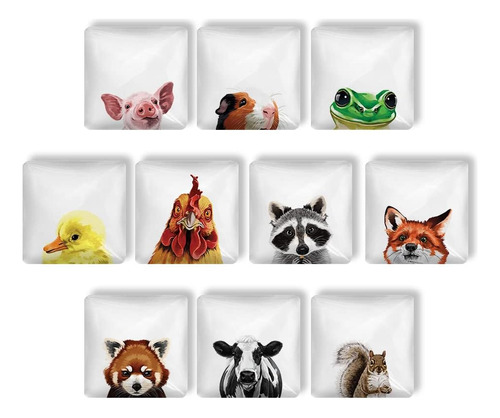 Juego De 10 Imanes Cuadrados De Vidrio Para Nevera Y Pizarra