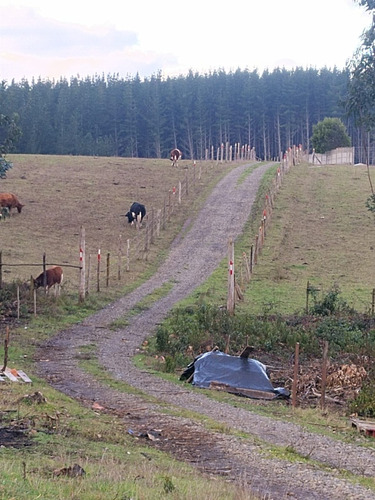 Terreno Con Casa