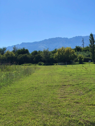 Imagen 4 de 18 de Lote 1250 M2 - La Aguadita / Villa De Las Rosas - Traslasierra