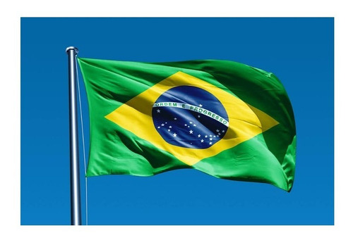 Kit 10 Bandeiras Do Brasil - 1,50x0,90mt Atacado