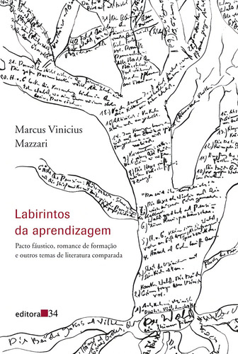 Labirintos da aprendizagem, de Mazzari, Marcus Vinícius. Editorial Editora 34 Ltda., capa mole em português, 2010