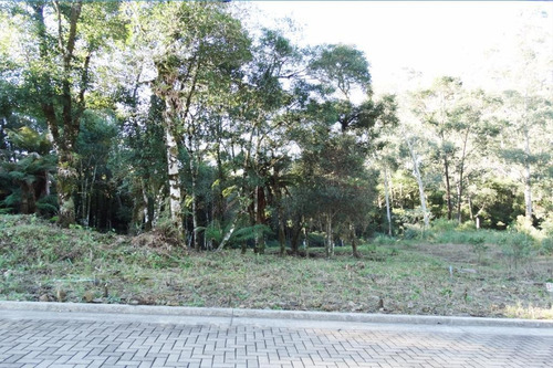 Imagem 15 de 15 de Terreno À Venda, 463 M² Por R$ 446.800,00 - Vivendas Do Arvoredo - Gramado/rs - Te0093
