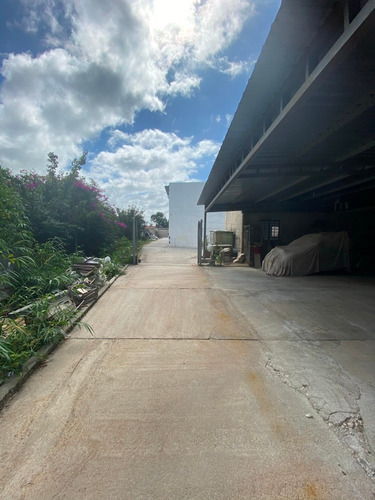 Alquiler Local Malvin Impecable 1000m2 Terreno