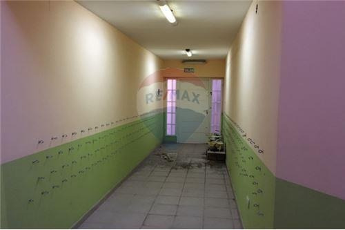 Imagen 21 de 22 de Venta De Oficinas Y Lote Apto A Desarrollo
