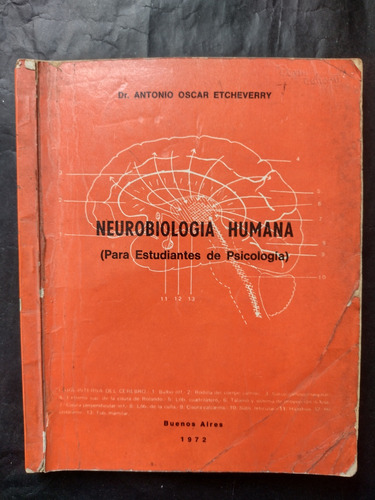 Neurobiologia Humana De Antonio Etcheverry. Sub/lápiz. Ab1