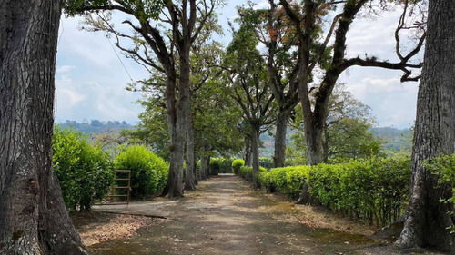 Imagen 20 de 30 de Finca Ganadera En Venta Táchira
