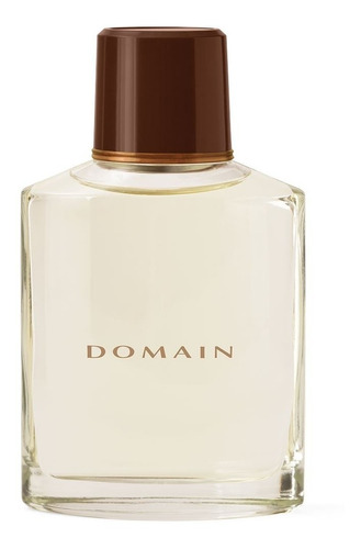 Fragancia Perfume Para Caballero Domain