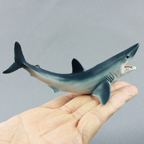 Decoración De Organismos Marinos Con Modelo Animal De Alta S