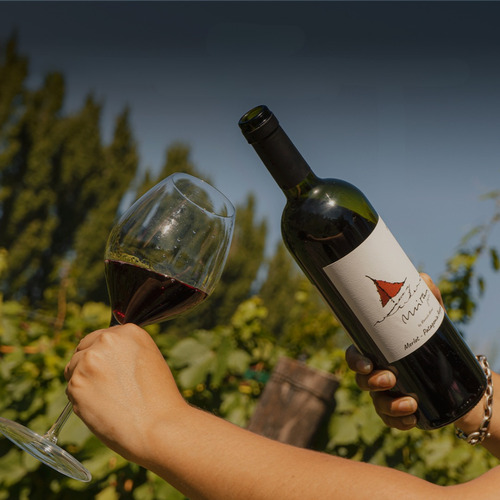Vino Miras Jovem Merlot 1x750 Ml Bod Miras
