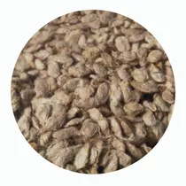 Comprar 20.000 Semillas De Limoncillo Limón Ornamental - Cerca Viva