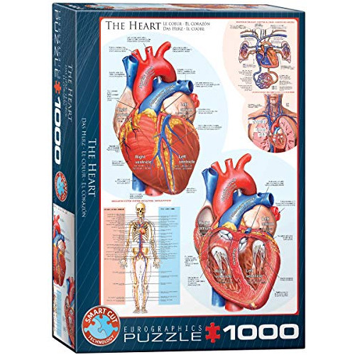 Rompecabezas Del Cuerpo Humano (el Corazón) (1000 Piez...