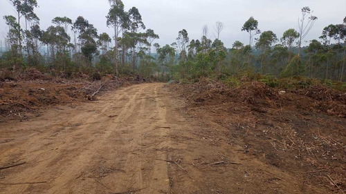 Imagem 3 de 14 de 01- Terrenos Liberado Para Construção Em Mogi Das Cruzes !