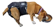 Comprar Pañales Reutilizables Perros Grandes