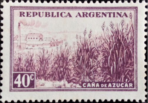 Argentina, Sello Gj 768 Caña Tizado Grueso 1935 Mint L14958