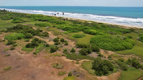 Imagen 18 de 19 de Vende Terreno En Chichiriviche Norte