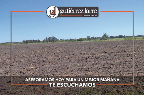 Campo 28 Ha Panorámicas Con Buenas Aguadas Naturales
