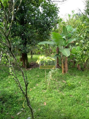 Imagem 22 de 30 de Chácara Com 3 Dormitórios À Venda, 3500 M² Por R$ 290.000,00 - Três Barras - Pedro De Toledo/sp - Ch0135