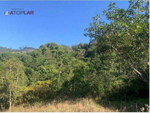 Imagem 14 de 17 de Terreno Em Área Rural À Venda, 25000 M² Por R$ 600.000 - Braço De Camboriú - Camboriú/sc - Te0126