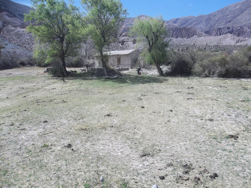 Purmamarca Terrenos Y Fincas
