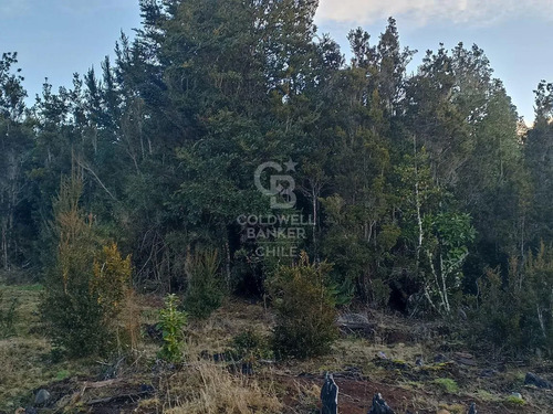 Parcela De 5000 M2, En Condominio, Con Acceso Controlado