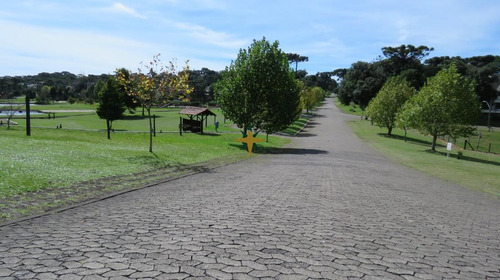 Imagem 16 de 20 de Terreno A Venda - 963