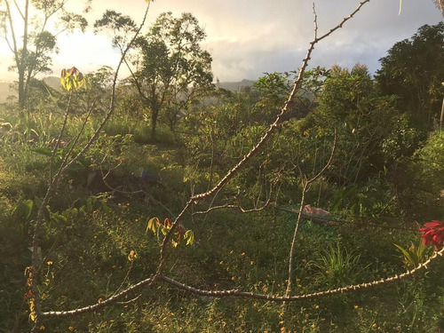 Imagen 5 de 14 de Terreno En Colinas De Carrizal