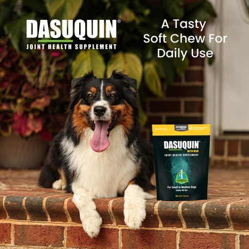 Masticables Suaves Para Perros Con Msm, Nutramax Dasuquin