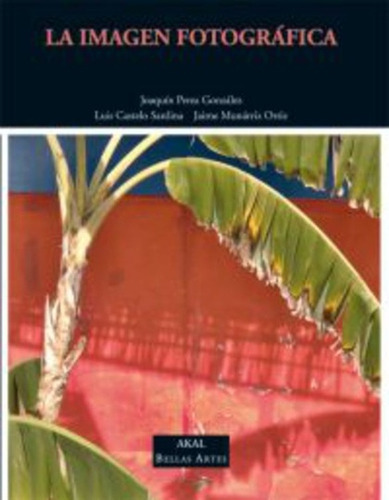 Imagen Fotografica, De Munárriz Ortiz Perea Gonzalez Y S. Serie N/a, Vol. Volumen Unico. Editorial Akal, Tapa Blanda, Edición 1 En Español, 2008