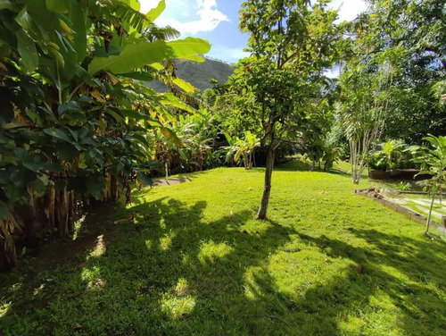 Imagen 20 de 30 de Venta De Terreno Amplio Con Bienhechurias, El Castaño Edo Aragua
