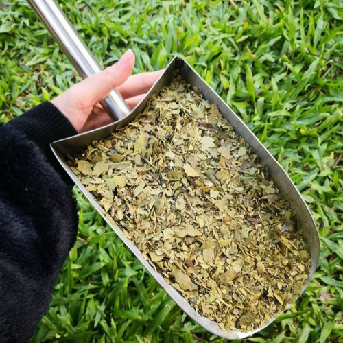 Yerba Mate Ajedrez Despalada Canchada Sin Tacc 500g Premium