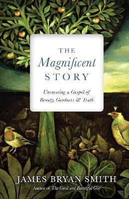 Libro The Magnificent Story : Uncovering A Gospel Of Beau...