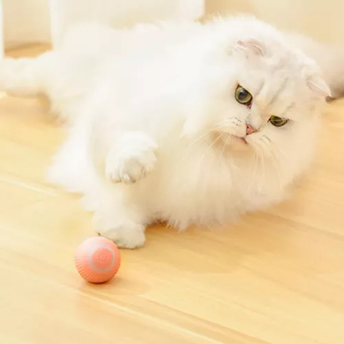 Brinquedo Interativo para Gatos Bola Giratória Automática de 360