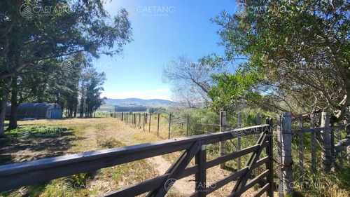 Venta Chacra Jose Ignacio Con Costa Arroyo Anastasio