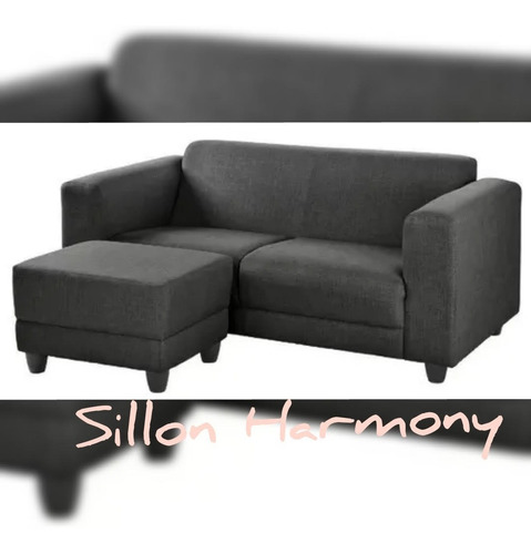 Sillón Sofá 2 Cuerpos Moderno Harmony