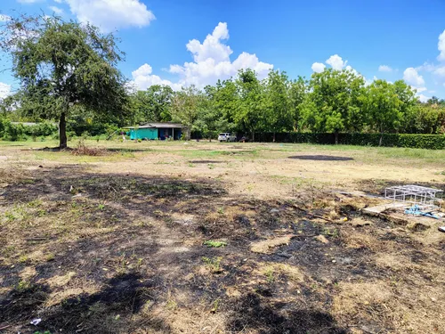 Lote De 5000m2 Santo Tomas (cm&d142).