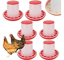 Comprar 6 Uni Comedouro 8kg Pássaro Galinheiro Granja Aves Frango