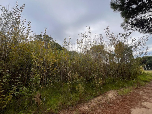 Venta De Terreno En Mar Azul