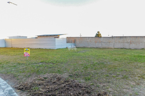 Imagem 5 de 23 de Terreno - Residencial - 926224