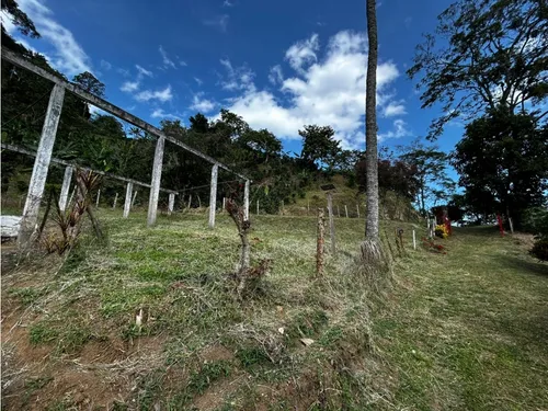 Se Vende Finca En Barragán